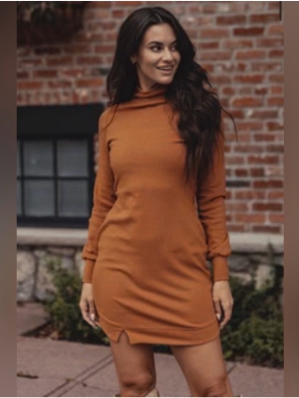 The Normal Brand Puremeso Mock Neck Dress